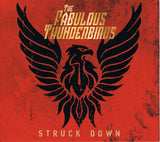 Fabulous Thunderbirds, The "Struck Down"