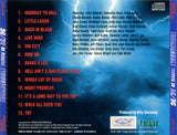 Thunderbolt :  Tribute To AC/DC Japan édition without OBI