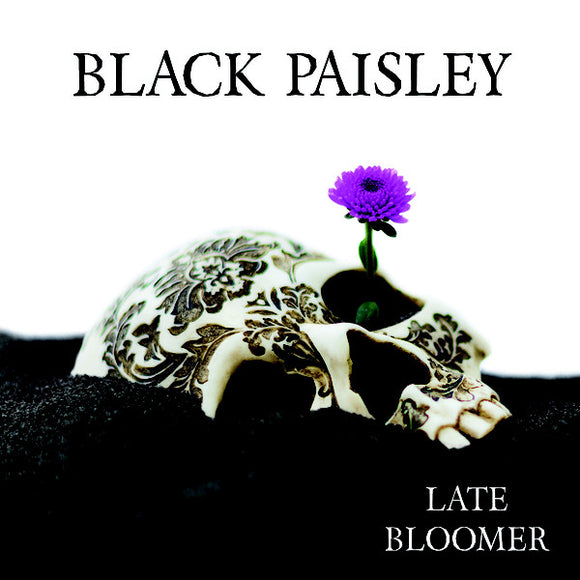 Black Paisley 