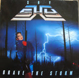 Shy : "Brave The Storm"