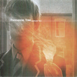 Porcupine Tree "Lightbulb Sun"
