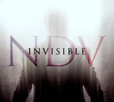 Nick D'Virgilio "Invisible"