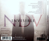 Nick D'Virgilio "Invisible"