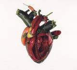 Carcass "Torn Arteries"