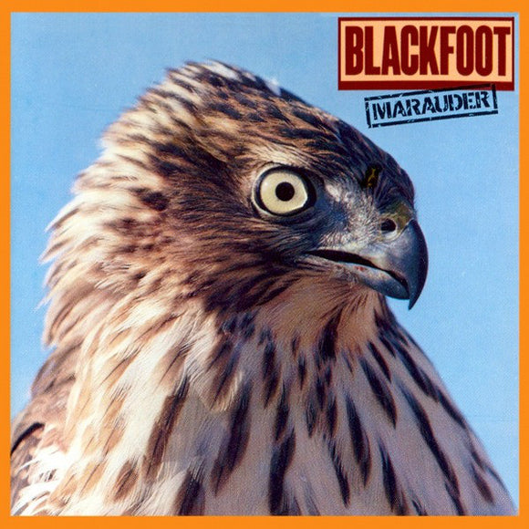 Blackfoot : 