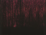Voodoo Hill "Voodoo Hill" japan édition with OBI