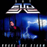 Shy : "Brave The Storm"